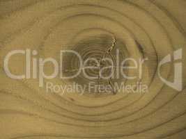 Larch wood background sepia