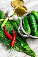 Fresh pickling cucumbers