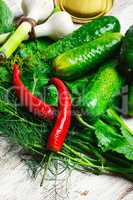 Fresh pickling cucumbers