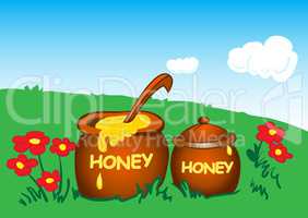 Pots with honey