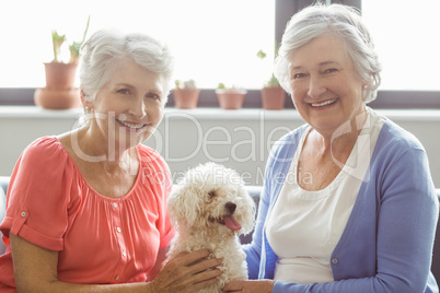 Senior women stroking a dog