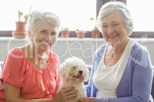 Senior women stroking a dog