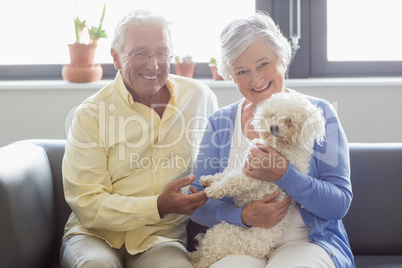 Senior couple holding a dog