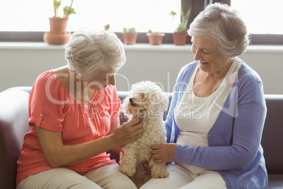 Senior women stroking a dog