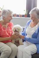 Senior women stroking a dog