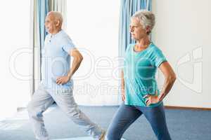 Seniors doing sport exercises