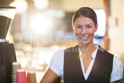 Portrait of waitress standing at counter