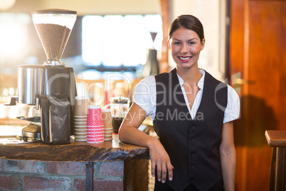 Portrait of waitress standing at counter