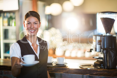 Smiling waitress serving cup of coffee