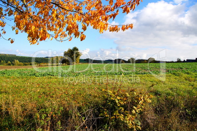 Herbstlandschaft