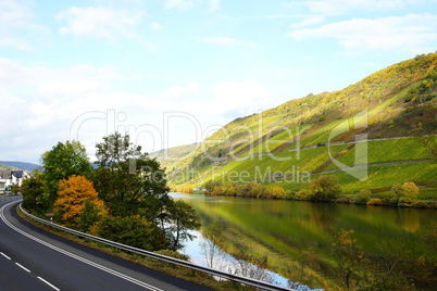 Moseltal bei Briedel