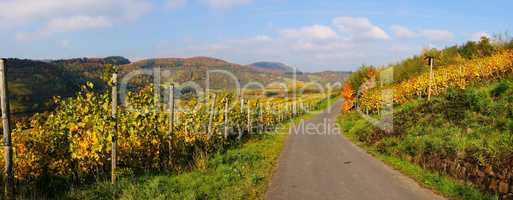 Weg nach Pünderich