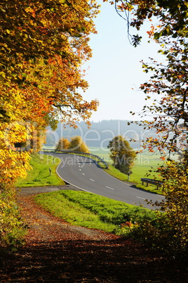 Landstrasse, Felder und Wald