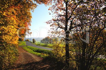 Landstrasse, Felder und Wald