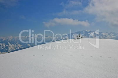 Winter landscape from Austria