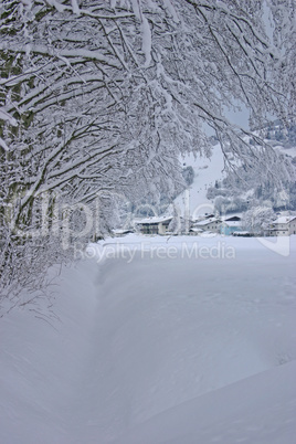 Winter landscape from Austria