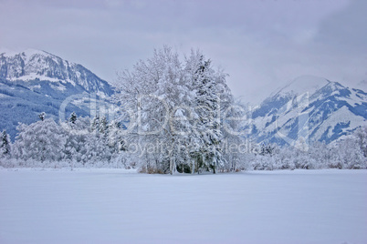 Winter landscape from Austria
