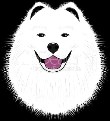 Dog samoyed, buddy puppy vector illustration