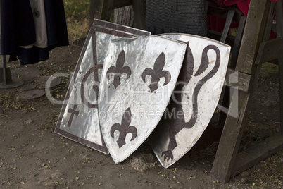 Old templar shield knight equipment photo