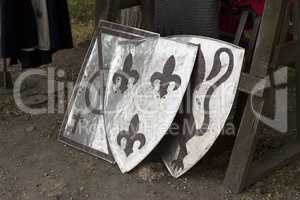 Old templar shield knight equipment photo