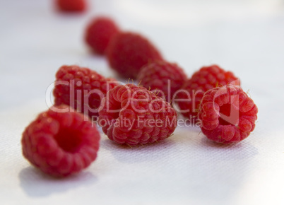 Berry raspberry