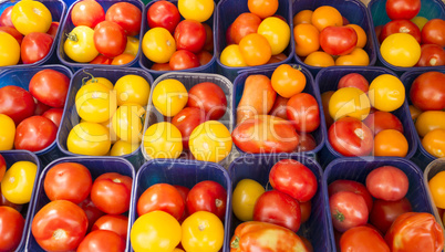 Tomaten auf einem Markt in der Provence, Frankreich
