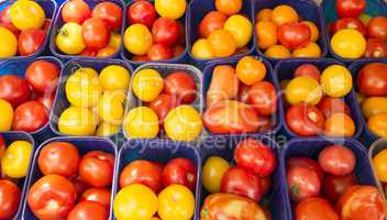 Tomaten auf einem Markt in der Provence, Frankreich