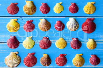 Yellow And Red Seashells As Texture On Blue Wooden Background