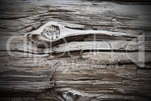 Wooden Background Or Texture With Knothole, Copy Space And Frame