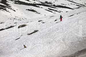 Hiker and dog in snowy mountains at spring