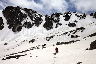 Hiker and dog in snowy mountains at spring