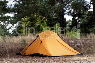 Orange tent in forest