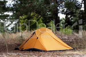 Orange tent in forest