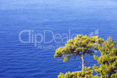 Top view on blue sunlight sea at sun day