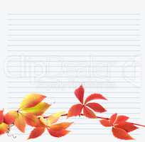 Multicolor branch of grapes leaves on notebook paper