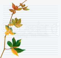Multicolor branch of grapes leaves on notebook paper