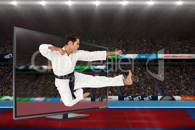 Composite image of fighter performing karate stance