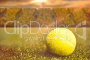 Close up of tennis ball on the grass