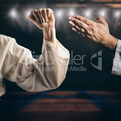 Female fighter performing karate stance