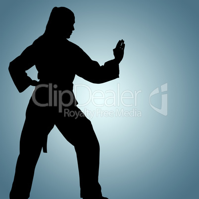 Composite image of female fighter performing karate stance