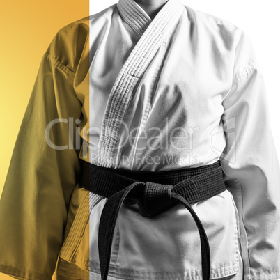 Composite image of mid section of karateka