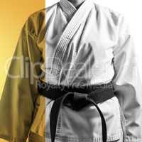Composite image of mid section of karateka