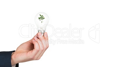 Hand holding environmental light bulb