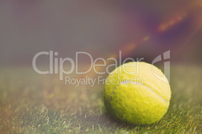 Close up of tennis ball on the grass