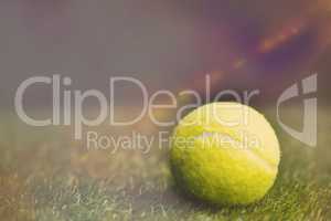 Close up of tennis ball on the grass