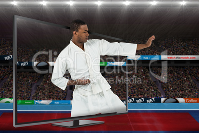 Composite image of fighter performing karate stance