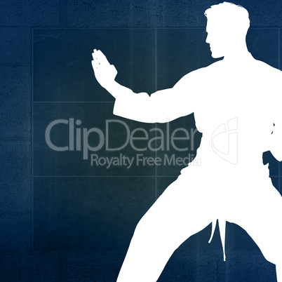 Composite image of fighter performing karate stance