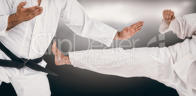 Composite image of fighter performing karate stance