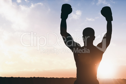 Composite image of boxer posing after victory