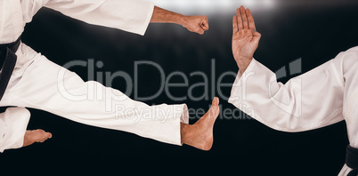 Composite image of female fighter performing karate stance